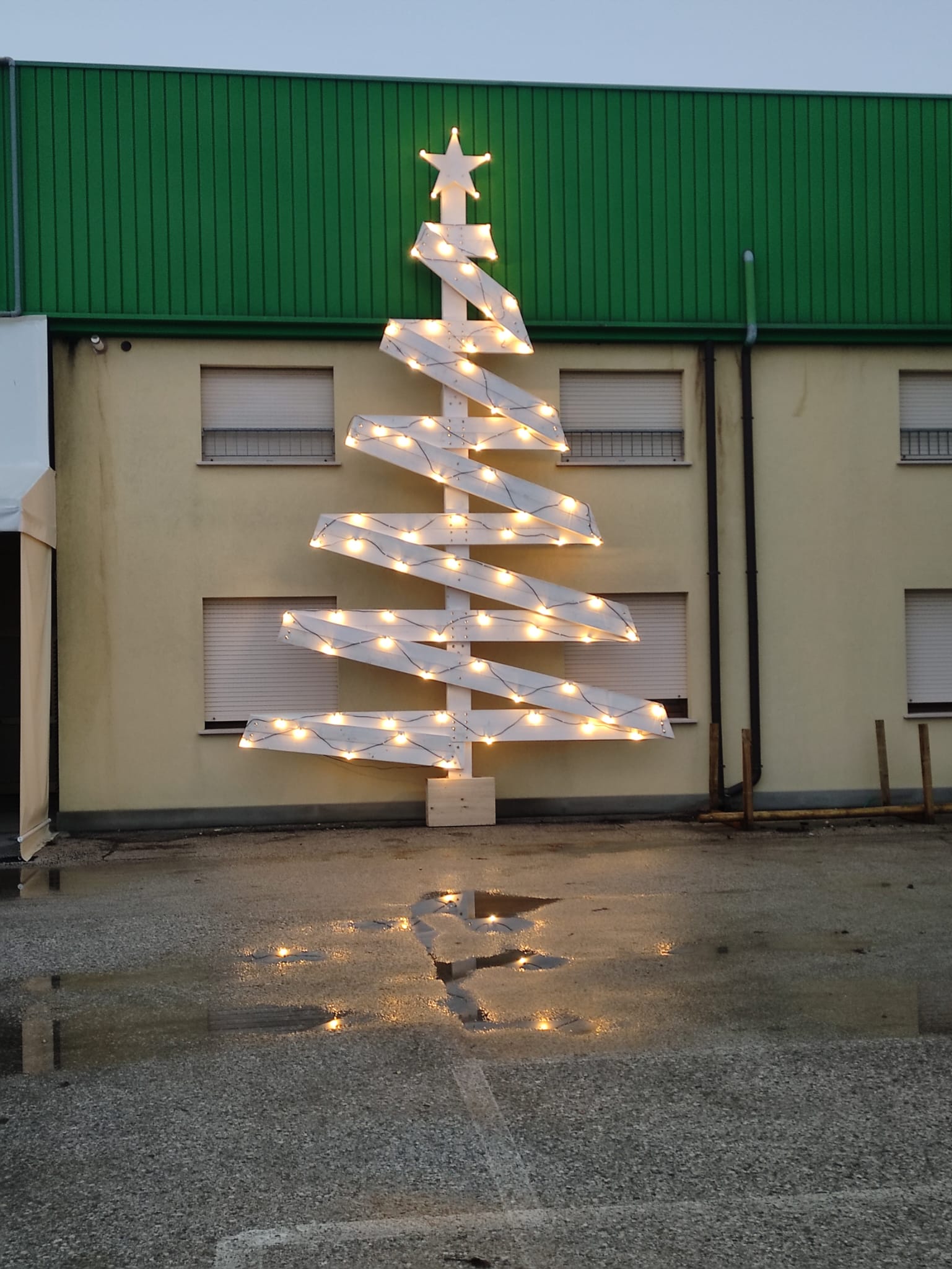 Il nostro albero